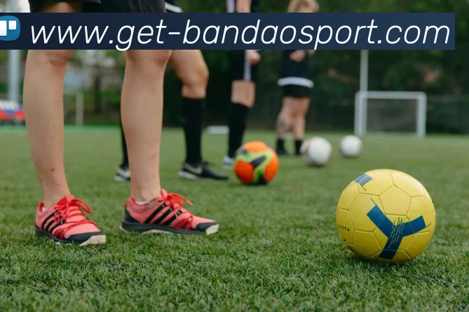 半岛体育APP 封面图